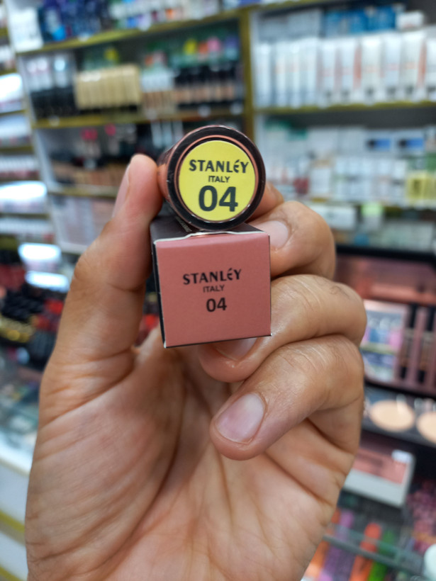 رژلب مایع استنلی شماره 04 حجم 6 میلیلیتر | مات مخملی، رنگدانه فوقالعاده، ماندگاری بالا و پوشش یکدست لب
